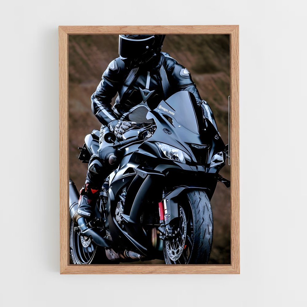 Poster Ninja Mystique H2 (vue 4)
